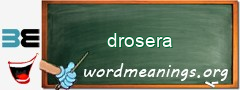 WordMeaning blackboard for drosera